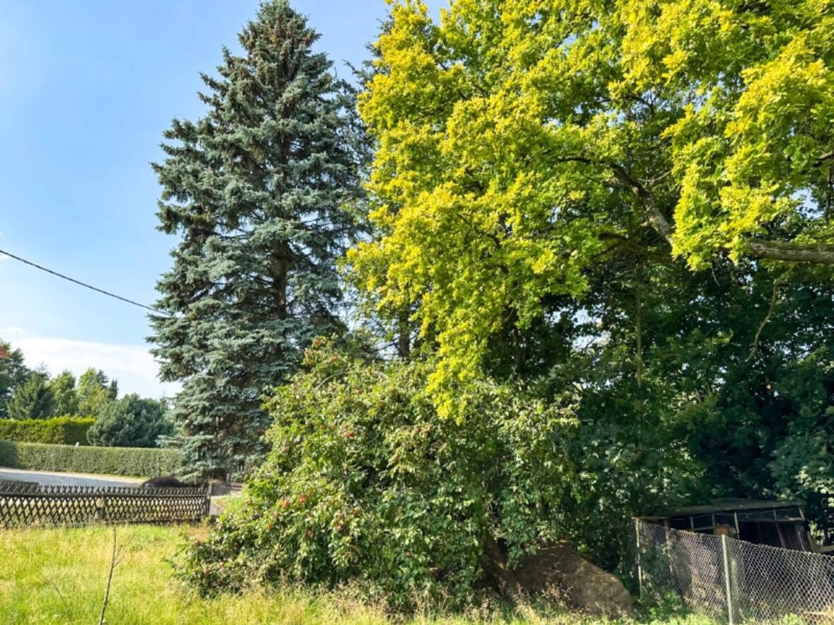 Blick von der Terrasse