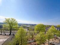 Ausblick Ausblick