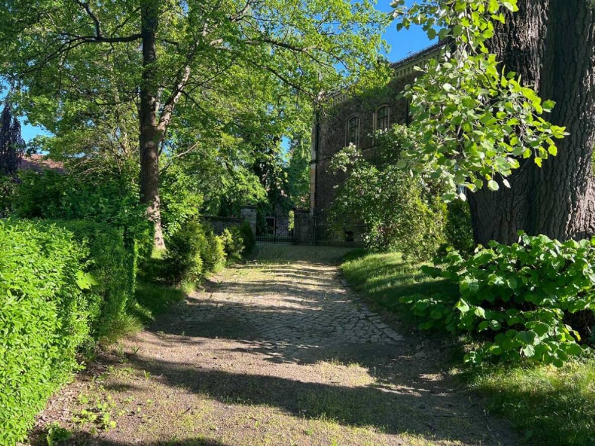 Zufahrt zum Ostfl&uuml;gel (1)